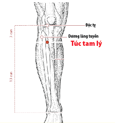 Il massaggio di digitopressione aiuta ad alleviare il dolore muscolare causato dal freddo - Foto 4. Xoa bóp bấm huyệt giúp giảm đau cơ do lạnh- Ảnh 4.