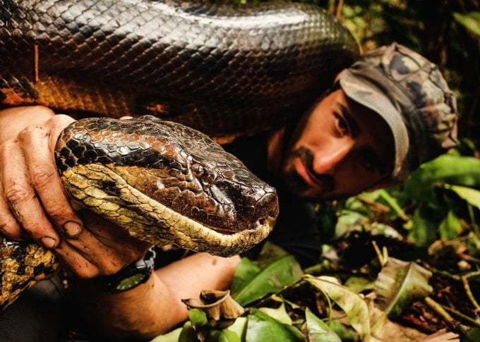 L'esploratore Paul Rosolie posa accanto a un'anaconda gigante, lunga quasi 6 metri, scoperta nel cuore della foresta amazzonica.