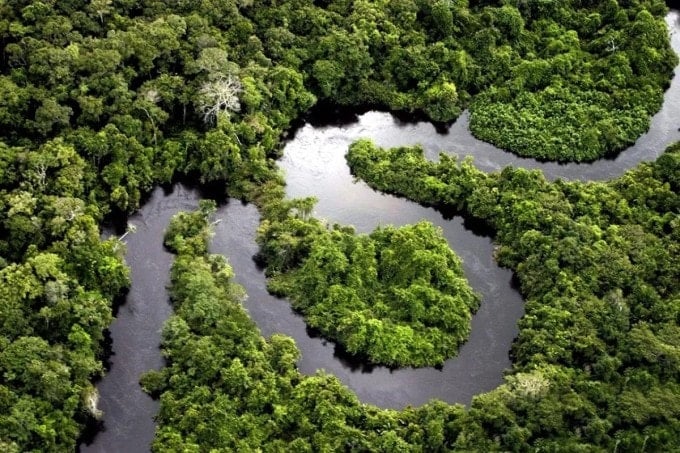 Una vista panoramica di una sezione della foresta pluviale amazzonica in Perù, un'area attualmente oggetto di interventi per proteggerla dalla deforestazione.