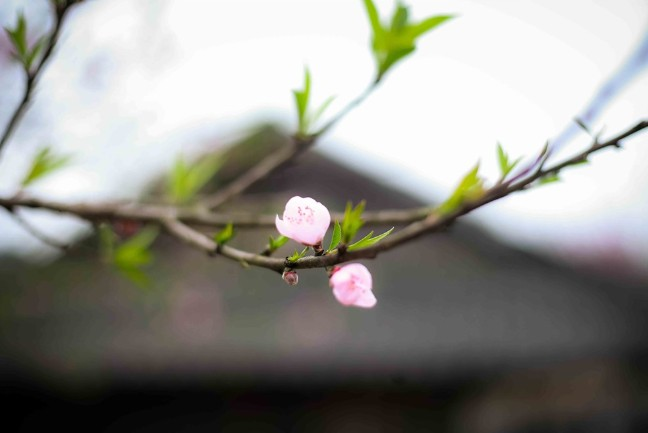 Thời tiết hôm nay (7-2): Miền Bắc mưa nhỏ, Nam Bộ trời nắng. Ảnh minh họa: laodong.vn