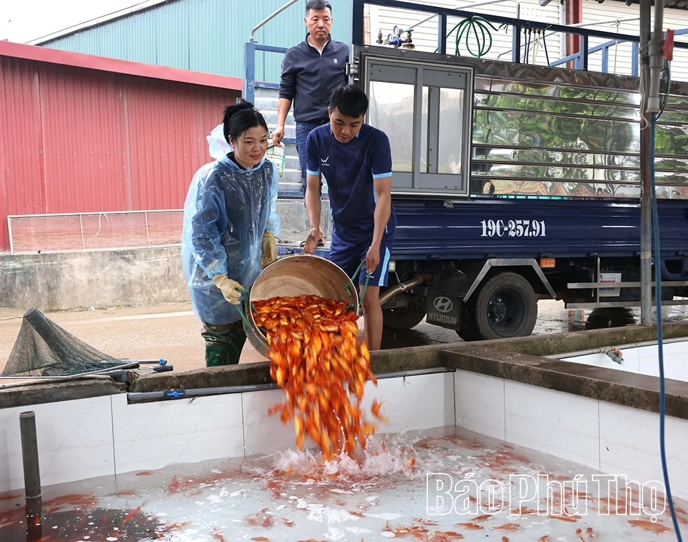 किचन गॉड को विदाई देने के लिए लाल कार खरीदना