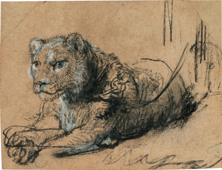Rembrandt - Ảnh 3.