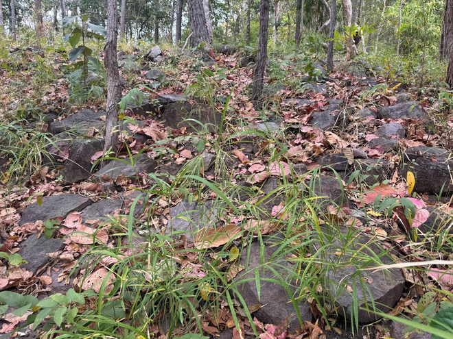 Formations rocheuses époustouflantes aux motifs inhabituels dans le parc national de Yok Don - Photo 3.
