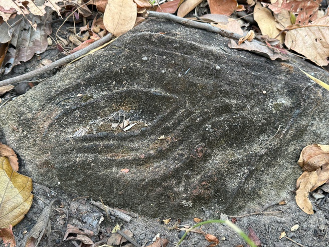 Formations rocheuses époustouflantes aux motifs inhabituels dans le parc national de Yok Don - Photo 4.