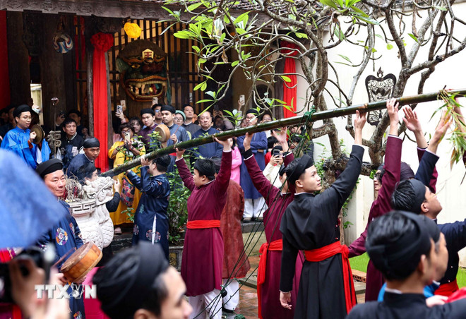 ttxvn-doc-dao-le-dung-cay-neu-giua-long-pho-co-ha-noi-08-5.jpg