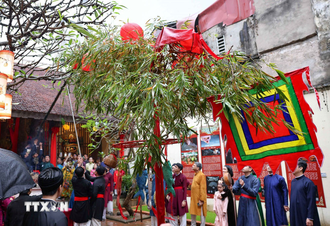 ttxvn-doc-dao-le-dung-cay-neu-giua-long-pho-co-ha-noi-08-6.jpg