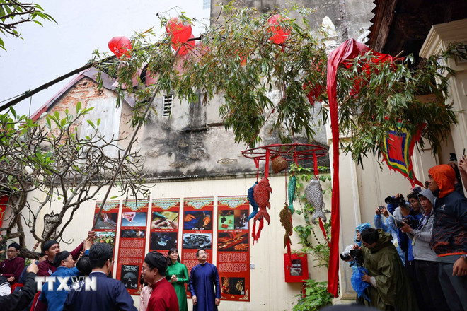 ttxvn-doc-dao-le-dung-cay-neu-giua-long-pho-co-ha-noi-08-8.jpg