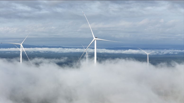 T&T Group is committed to taking concrete action on digital transformation and green transformation - Photo 4.