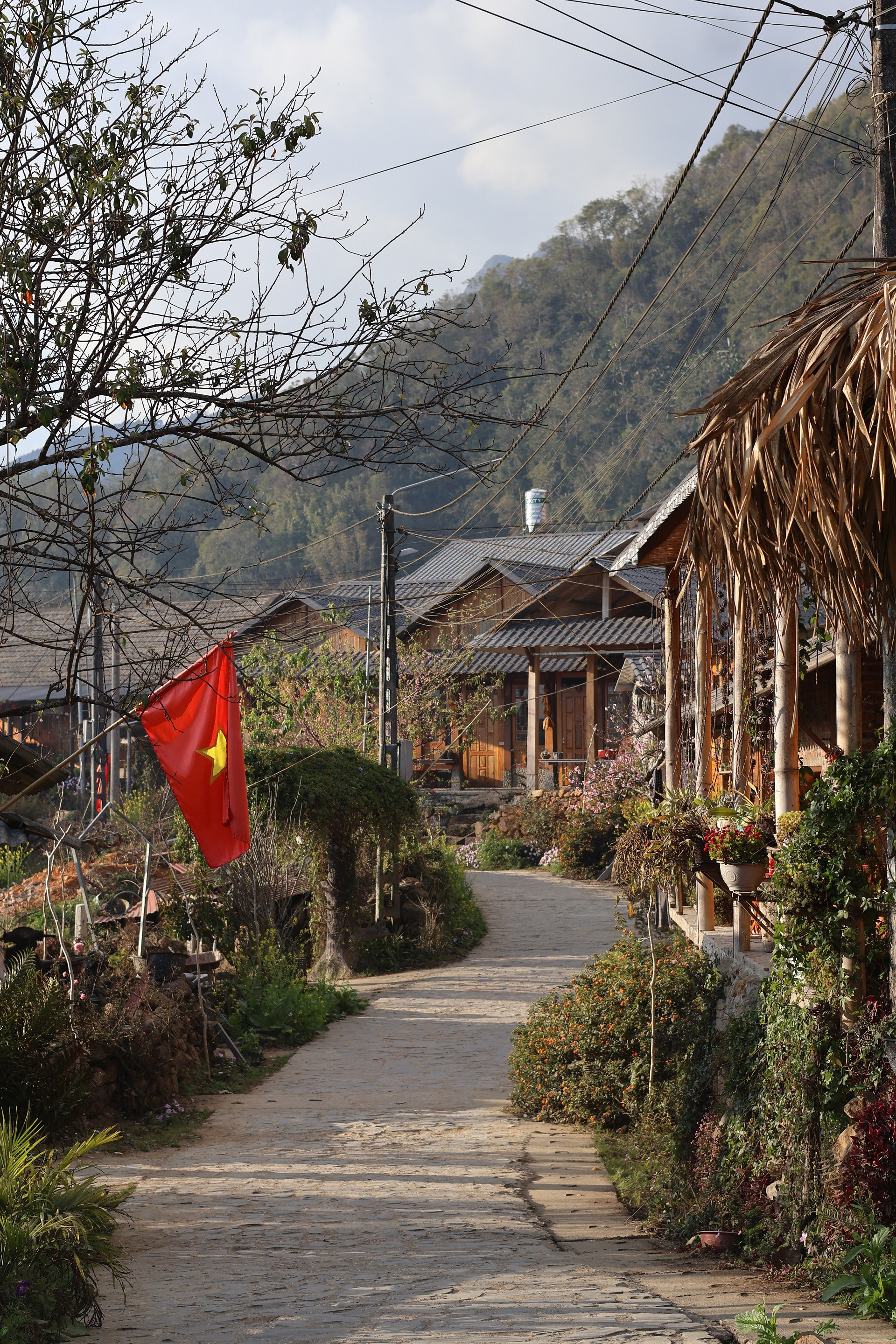 https://static-images.vnncdn.net/vps_images_publish/000001/000003/2026/2/9/ban-lang-si-thau-chai-lai-chau2-2734.jpg
