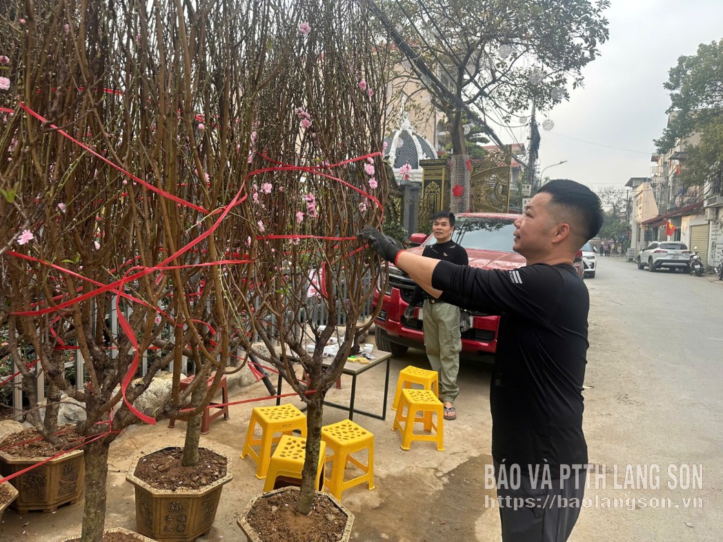 ດອກພ້າວກຳລັງຖືກຂາຍໂດຍຊາວທ້ອງຖິ່ນຢູ່ຖະໜົນຫງວຽນຢູ, ຕາແສງດົ່ງກິ້ງ.
