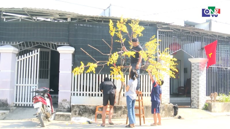 Từ “Chiến dịch Quang Trung” đến mùa Xuân no ấm - Vietnam.vn