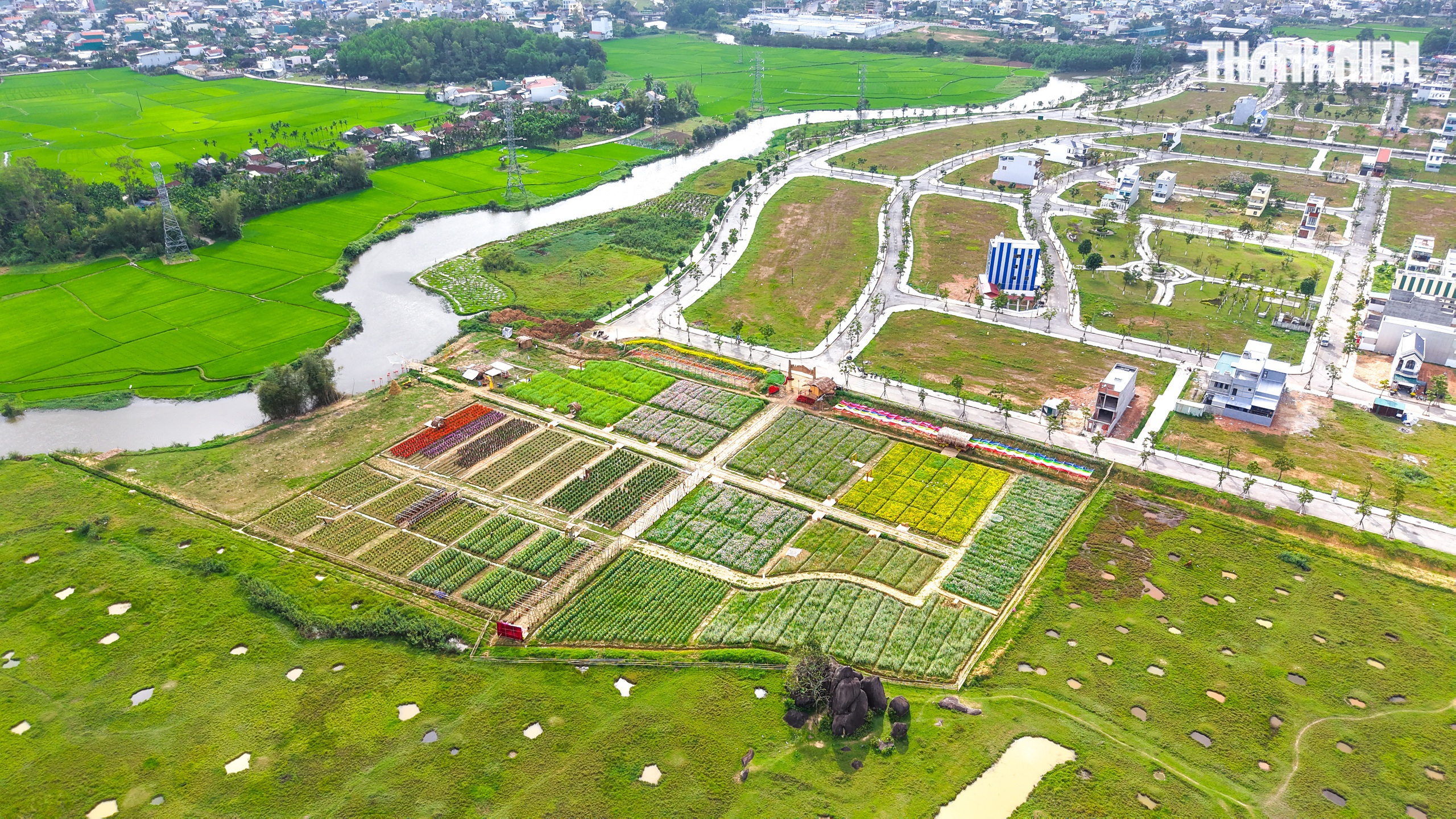 Một góc Hà Giang giữa lòng Quảng Ngãi- Ảnh 1.