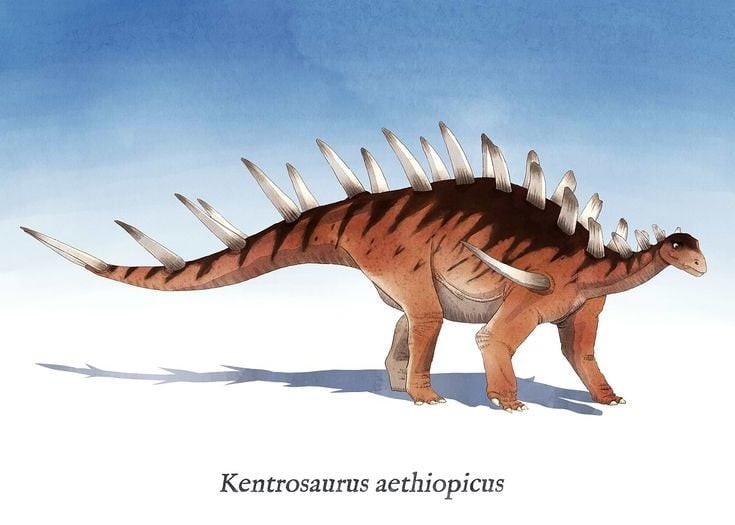 ケントロサウルスの化石は、古代アフリカにおける棘のある恐竜の生態を