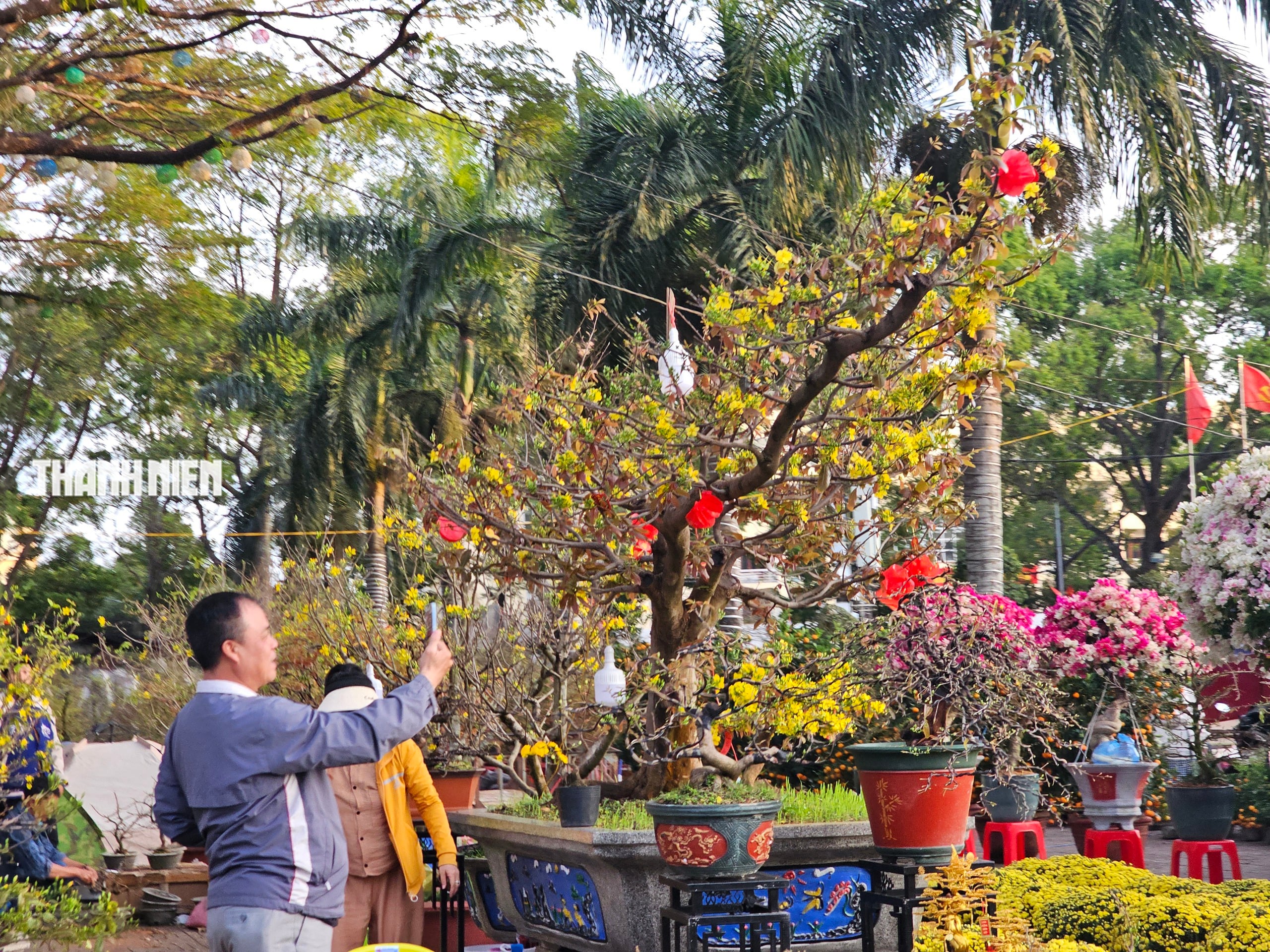 Chiêm ngưỡng dàn mai cổ thụ tiền tỉ tại chợ hoa Tết Bính Ngọ - Ảnh 9.