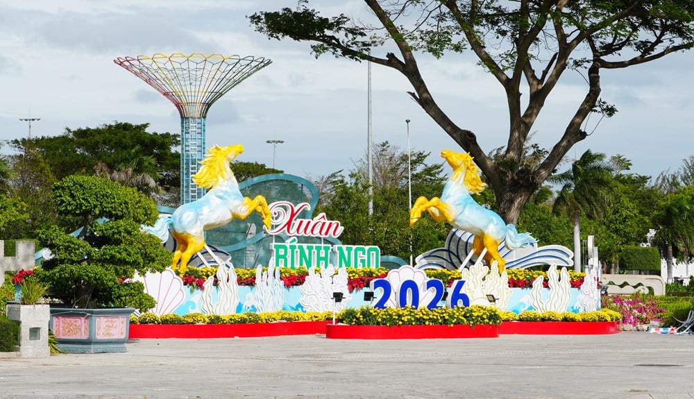 Khanh Hoa: vibrante dei colori della primavera, radiosa città costiera - foto 1