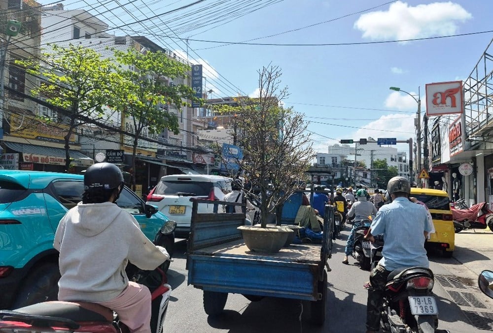 Khanh Hoa: I colori vivaci della primavera, la radiosa città costiera - foto 9