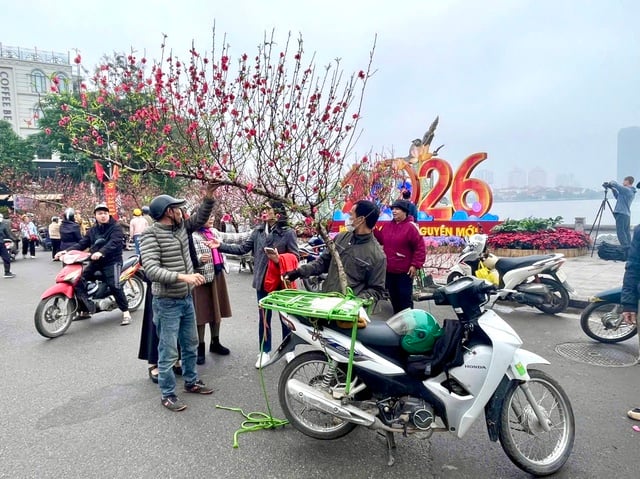 Rực rỡ sắc hoa xuân đón Tết - Ảnh 9.