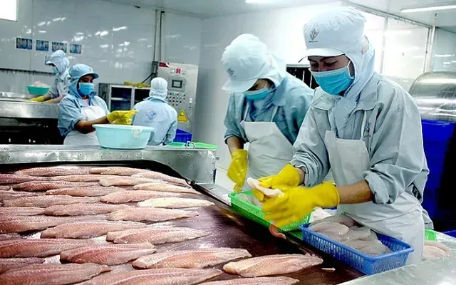 Giá cá tra lập đỉnh