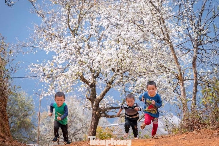 گردشگران می‌توانند در روستای نام نگپ، گل‌ها را تماشا کنند و با فرهنگ آن آشنا شوند.