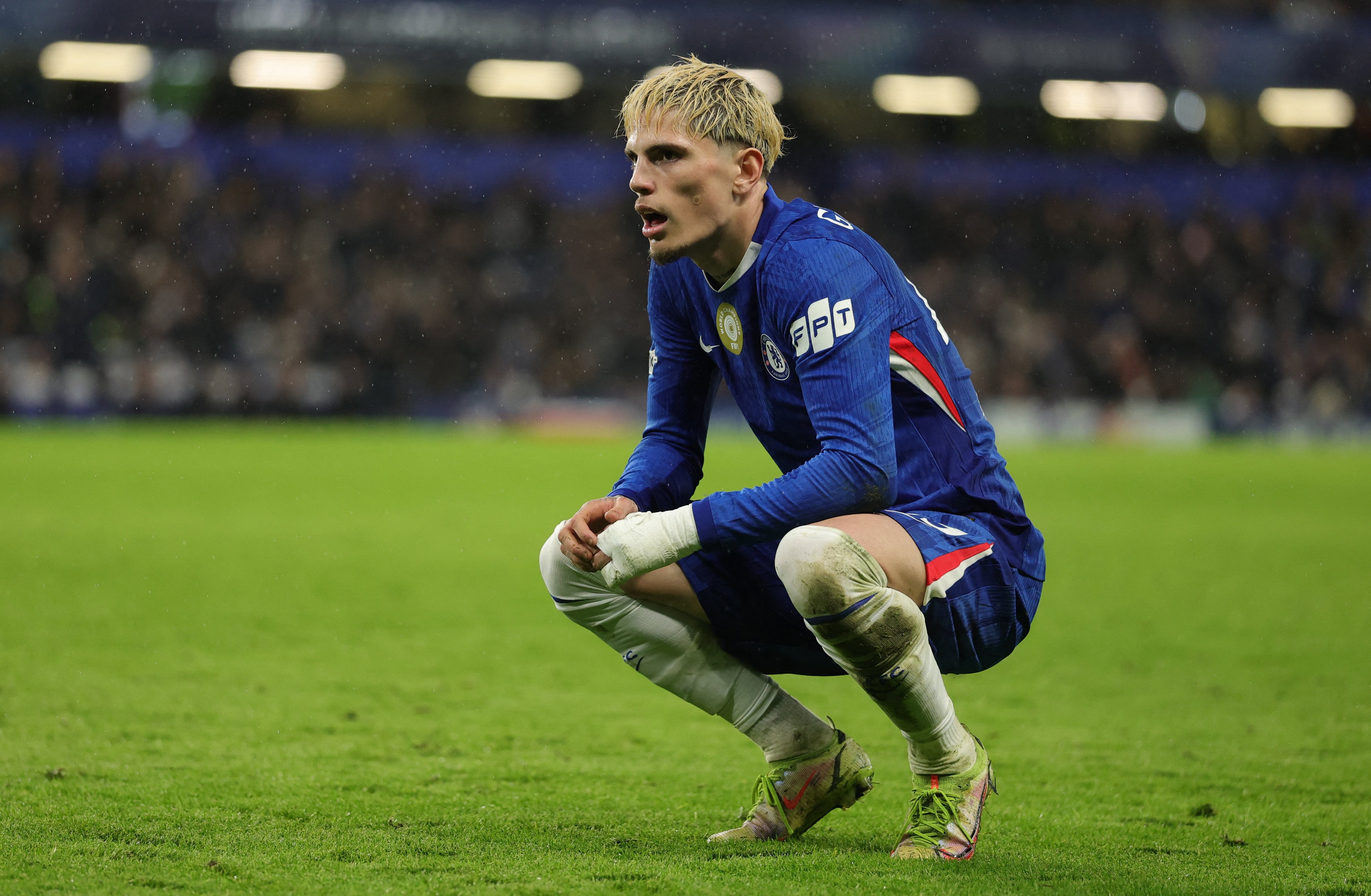 Τσέλσι φωτογραφία 1 Chelsea anh 1