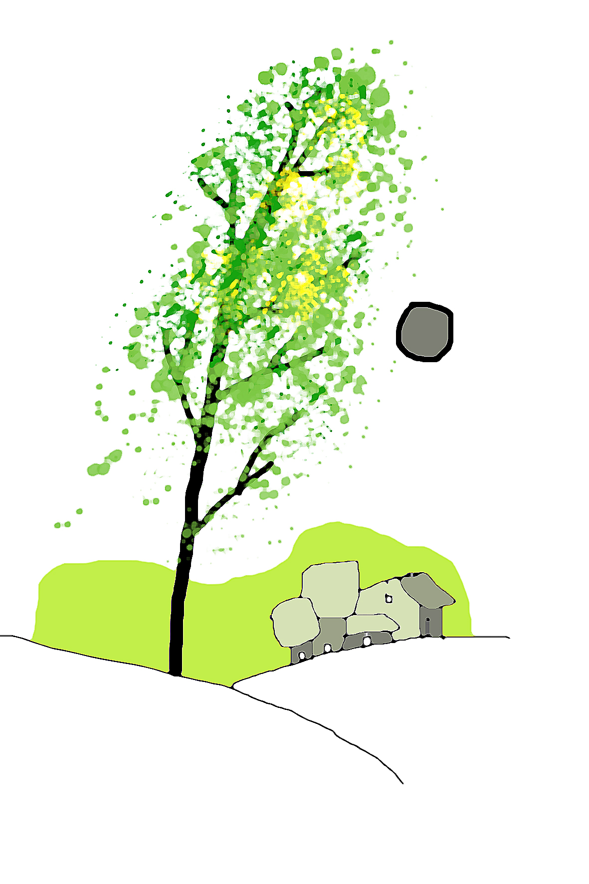 Nhớ Mimosa - Thơ của Vũ Trọng Quang- Ảnh 1.