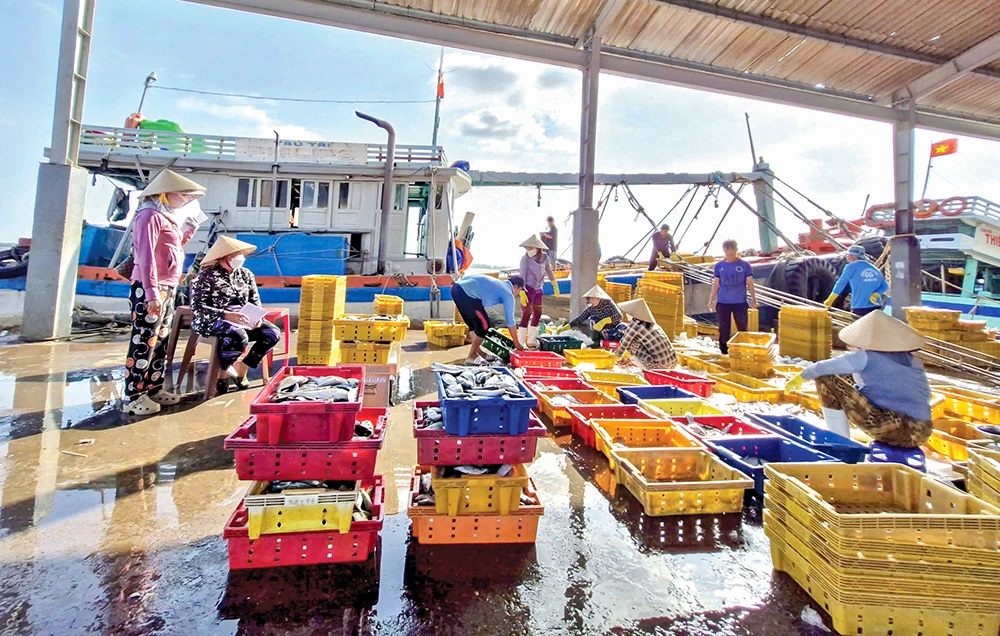 تعطیلات شاد و مفرح تت در منطقه ساحلی کان تو.