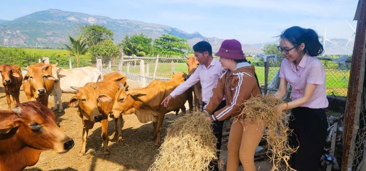 gia đình bà Lê Thị Bích Kiểu ở xã Thuận Bắc. Đây là một trong những hộ tiêu biểu từ nguồn vốn tín dụng chính sách. 