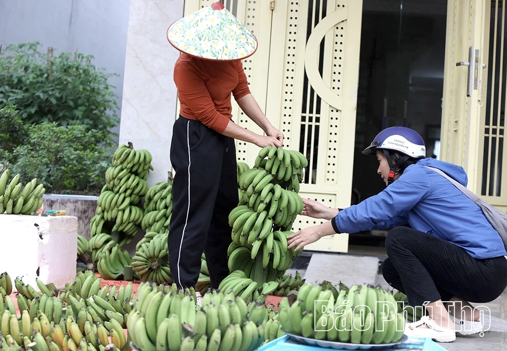 Chuối xanh ngày Tết