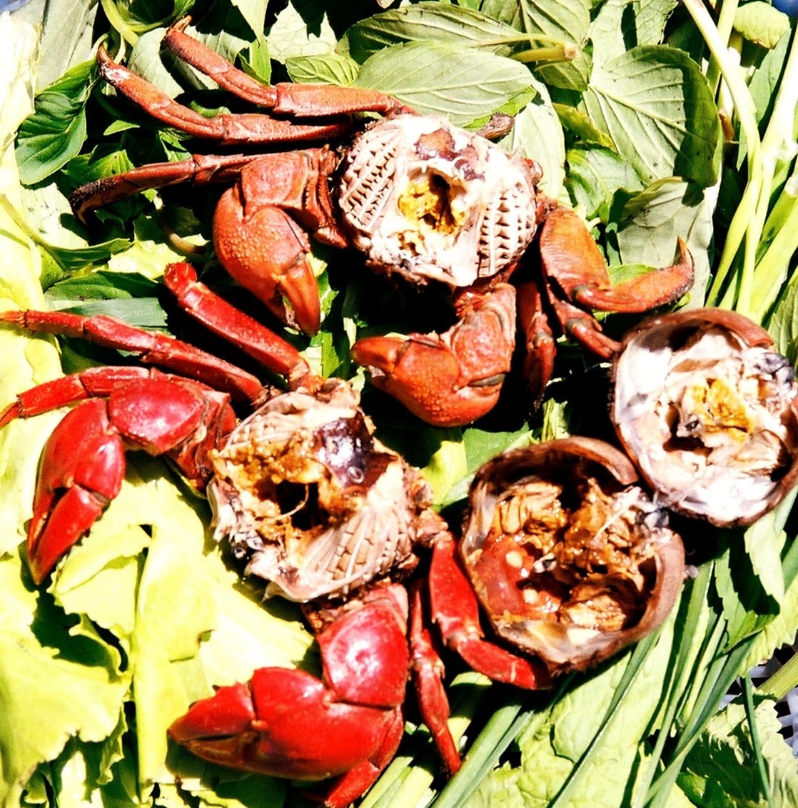  - Ảnh 7.