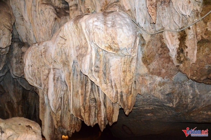 Các khối nhũ đá trong động Tiên Cá có hình dáng tựa như những rặng san hô lấp lánh