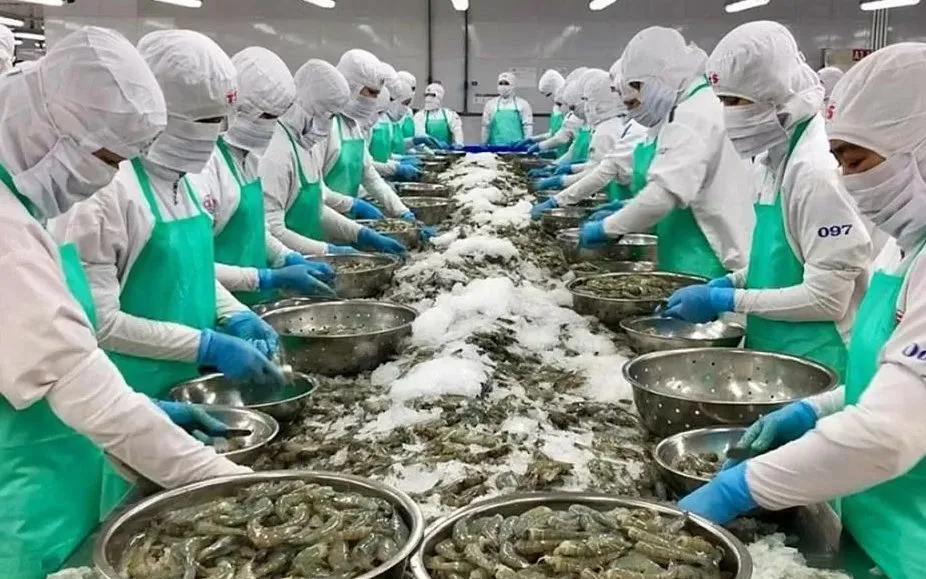Mỹ tăng cường giám sát tôm nhập khẩu - Ảnh 1.