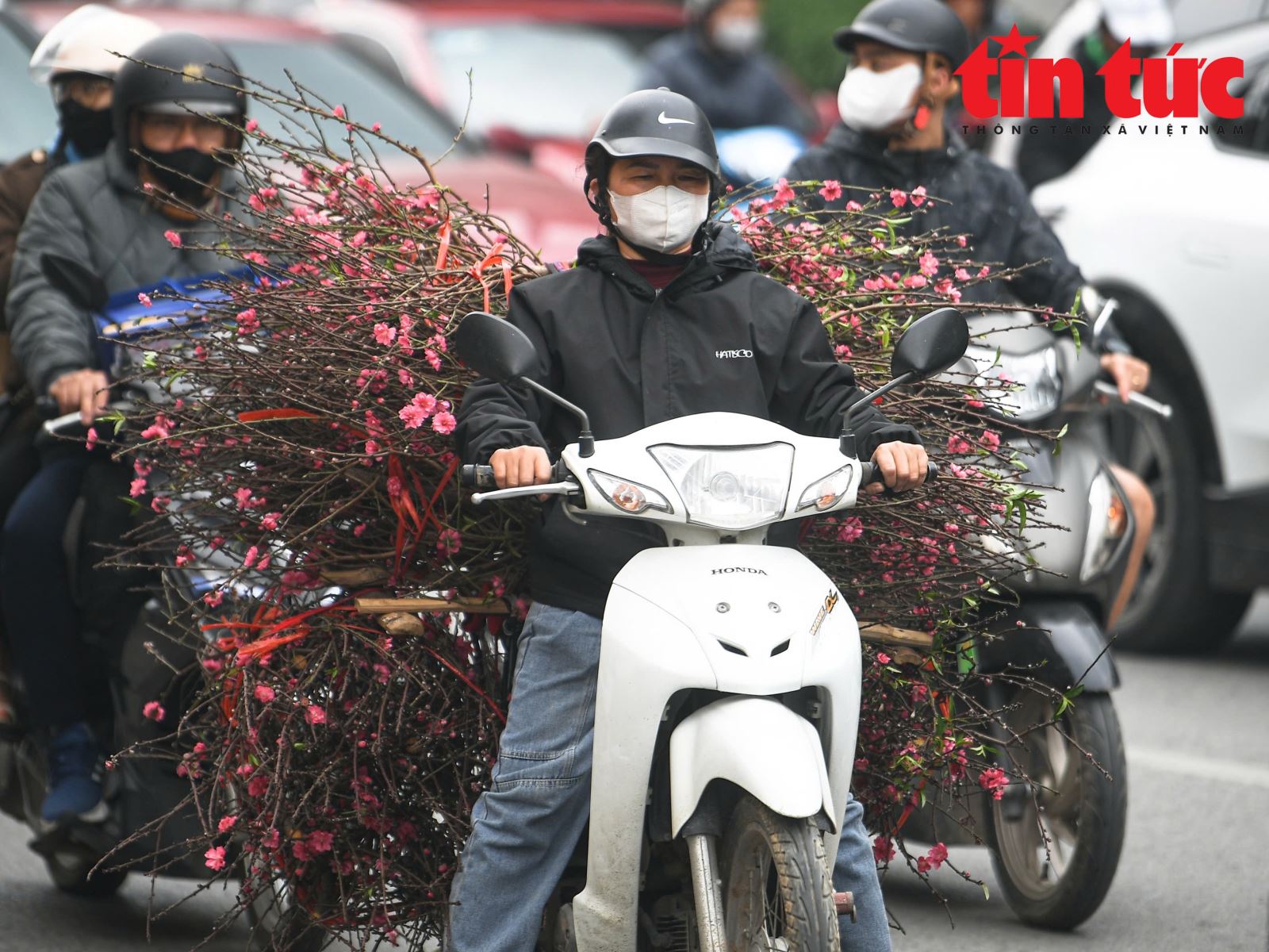 写真のキャプション