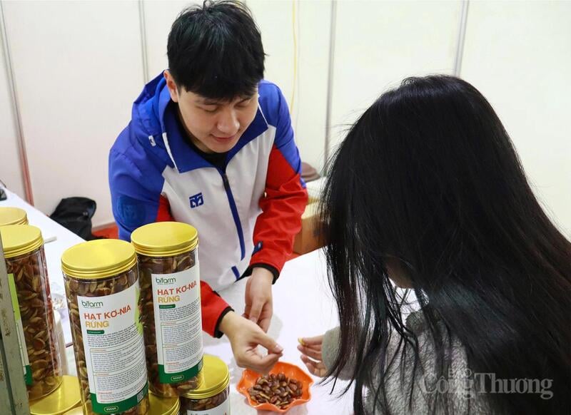 중부 고원지대에서 생산되는 커니아 씨앗이 2026년 음력 설 연휴를 맞아 소비자들의 관심을 끌고 있다. 사진: N.H.