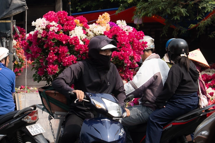 Tet-Blumen - Foto 2.