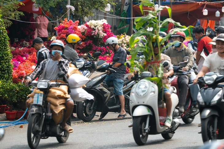 Tet-Blumen - Foto 5.