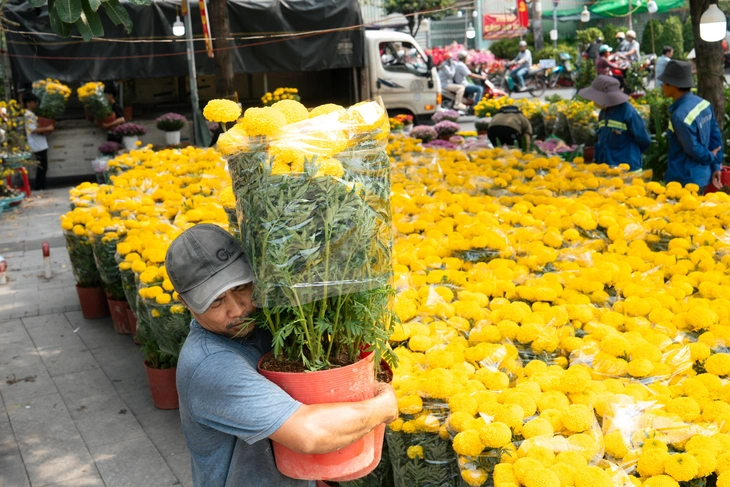 Tet-Blumen - Foto 6.