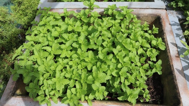 Tết của những 'cột mốc sống' trên biển, mãi vì chủ quyền Tổ quốc thiêng liêng- Ảnh 13.