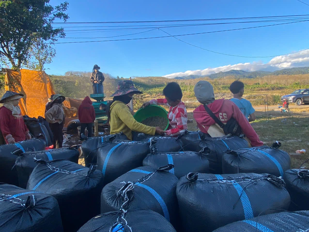 Alcune persone si sono arricchite grazie al caffè.  (Foto nell'articolo: Lam Hanh - Doan Thanh)