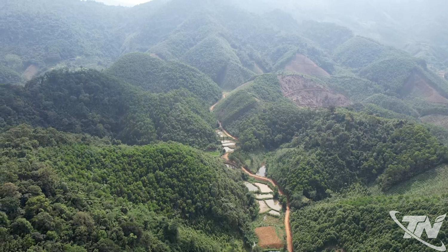The area of planted forests in the northern part of the province is expanding, creating an important foundation for the development of forestry economics and ensuring sustainable livelihoods for the people.