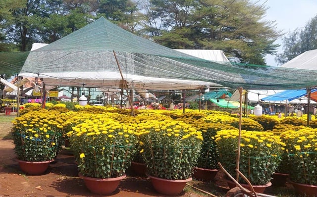 Preservare le tradizioni del Tet attraverso il mercato dei fiori primaverile - Foto 3. Giữ tết truyền thống qua chợ hoa xuân- Ảnh 3.