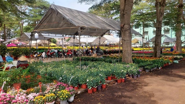 Preservare le tradizioni del Tet attraverso il mercato dei fiori primaverile - Foto 4. Giữ tết truyền thống qua chợ hoa xuân- Ảnh 4.