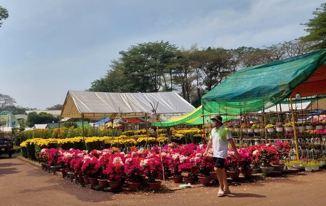 Preservare le tradizioni del Tet attraverso il mercato dei fiori primaverile - Foto 5. Giữ tết truyền thống qua chợ hoa xuân- Ảnh 5.