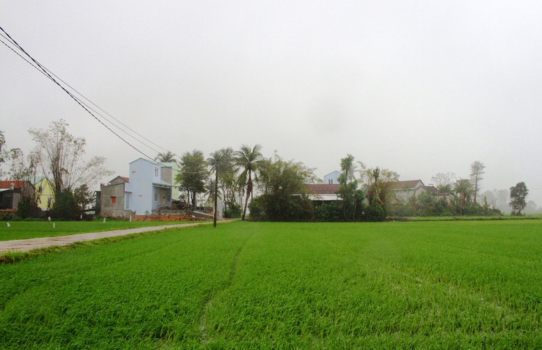 Hoa Thinh, l'
