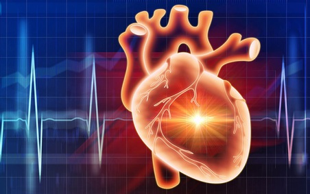 Vì sao nấm nên có mặt trên mâm cơm ngày Tết?- Ảnh 2.