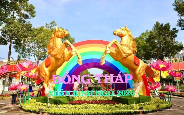Những đường hoa xuân rực rỡ nhất 'xứ hoa' Đồng Tháp- Ảnh 3.