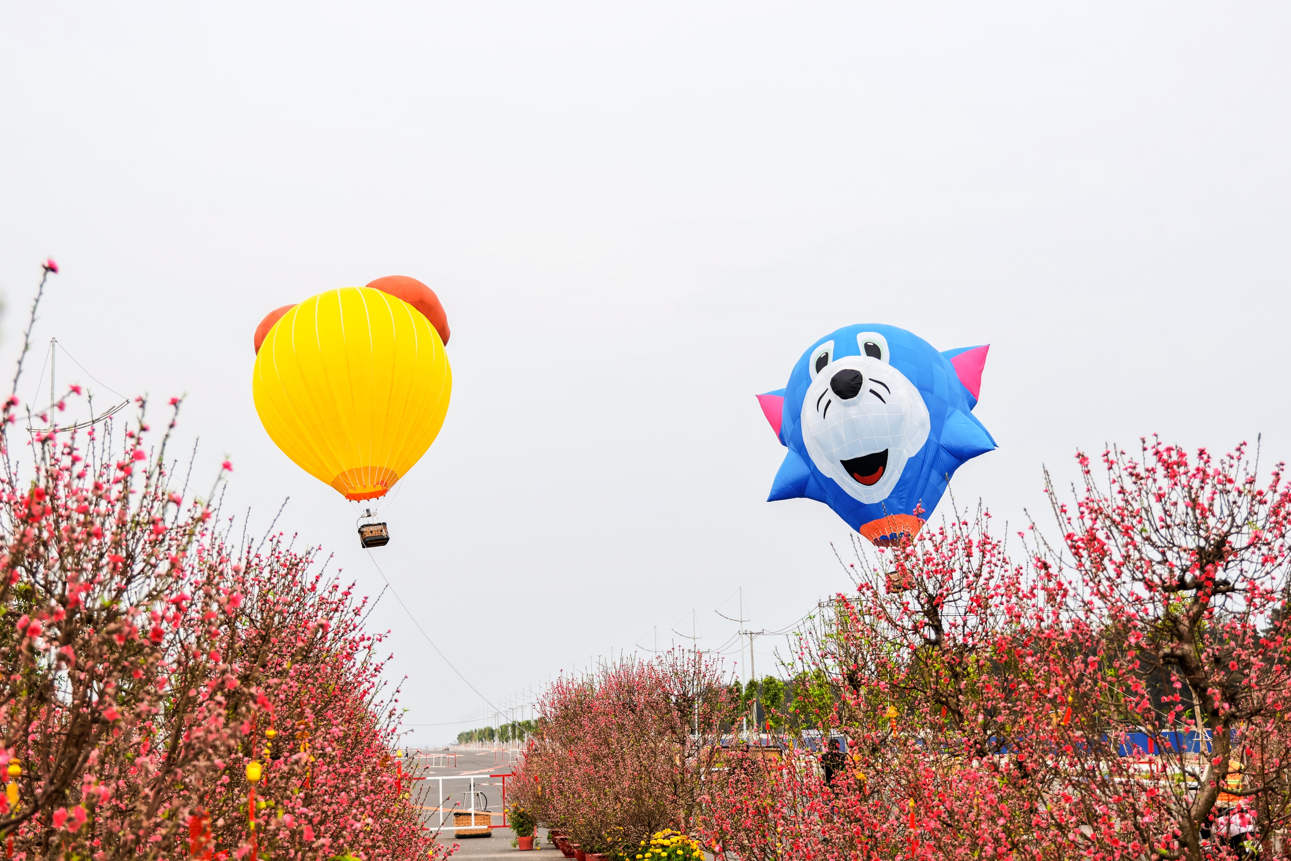 Even as Tet approaches, tourists are still flocking to Can Gio to fly paragliders and hot air balloons - Photo 3.
