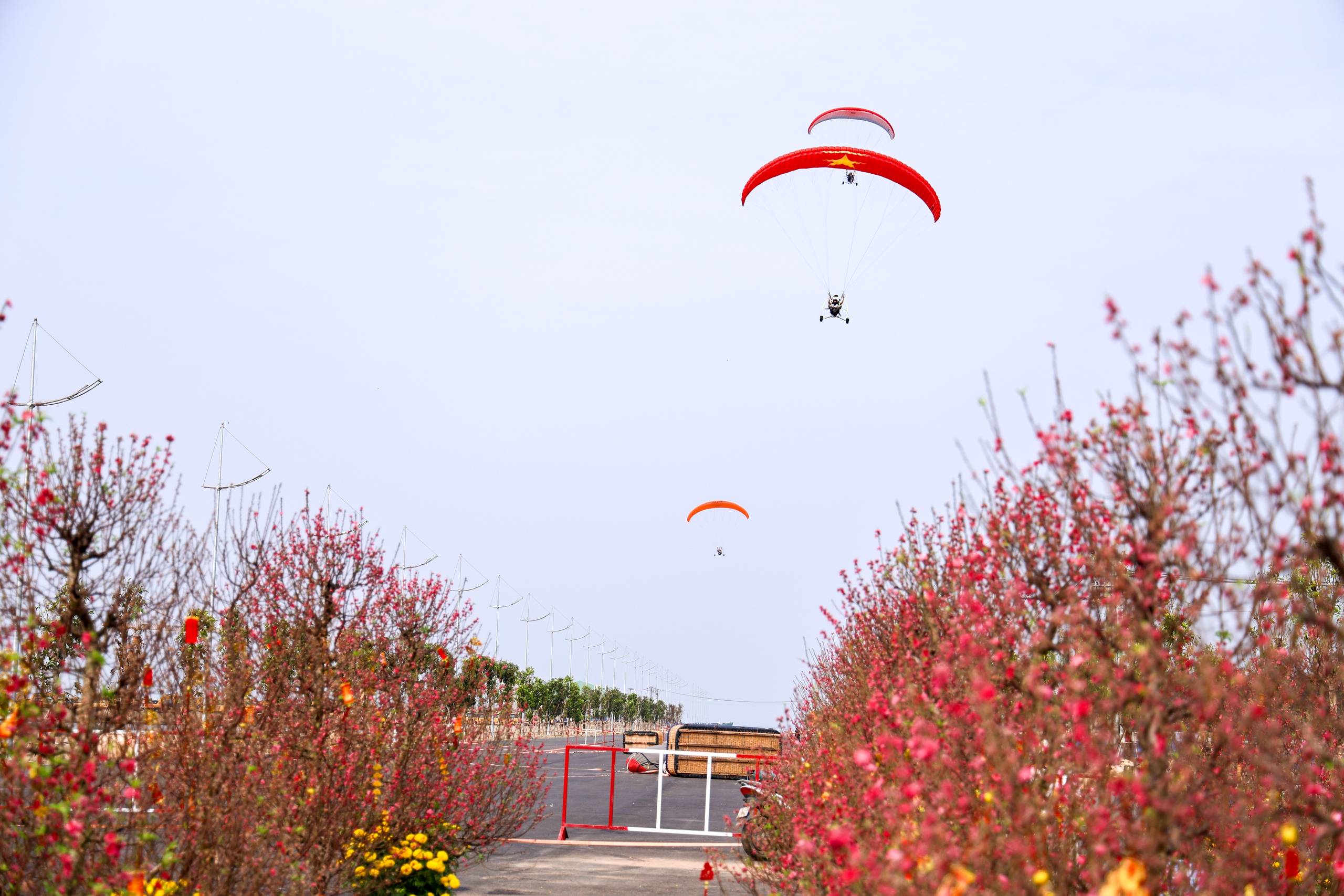 Even as Tet approaches, tourists are still flocking to Can Gio to fly paragliders and hot air balloons - Photo 9.