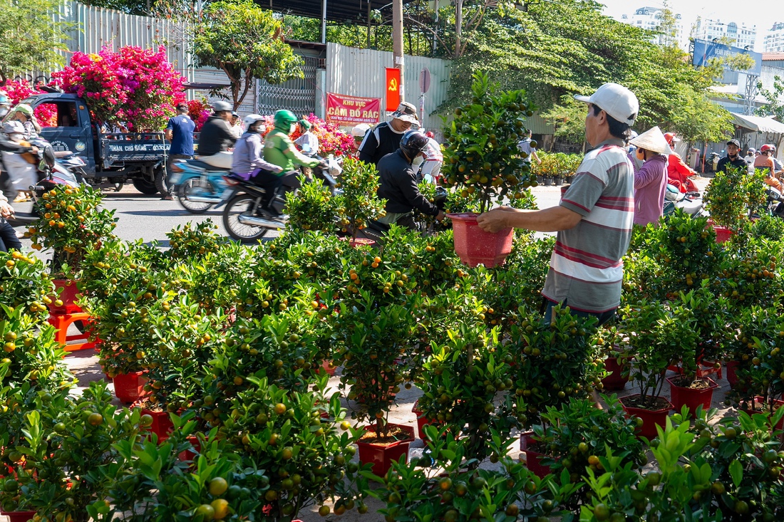 chợ hoa - Ảnh 3.