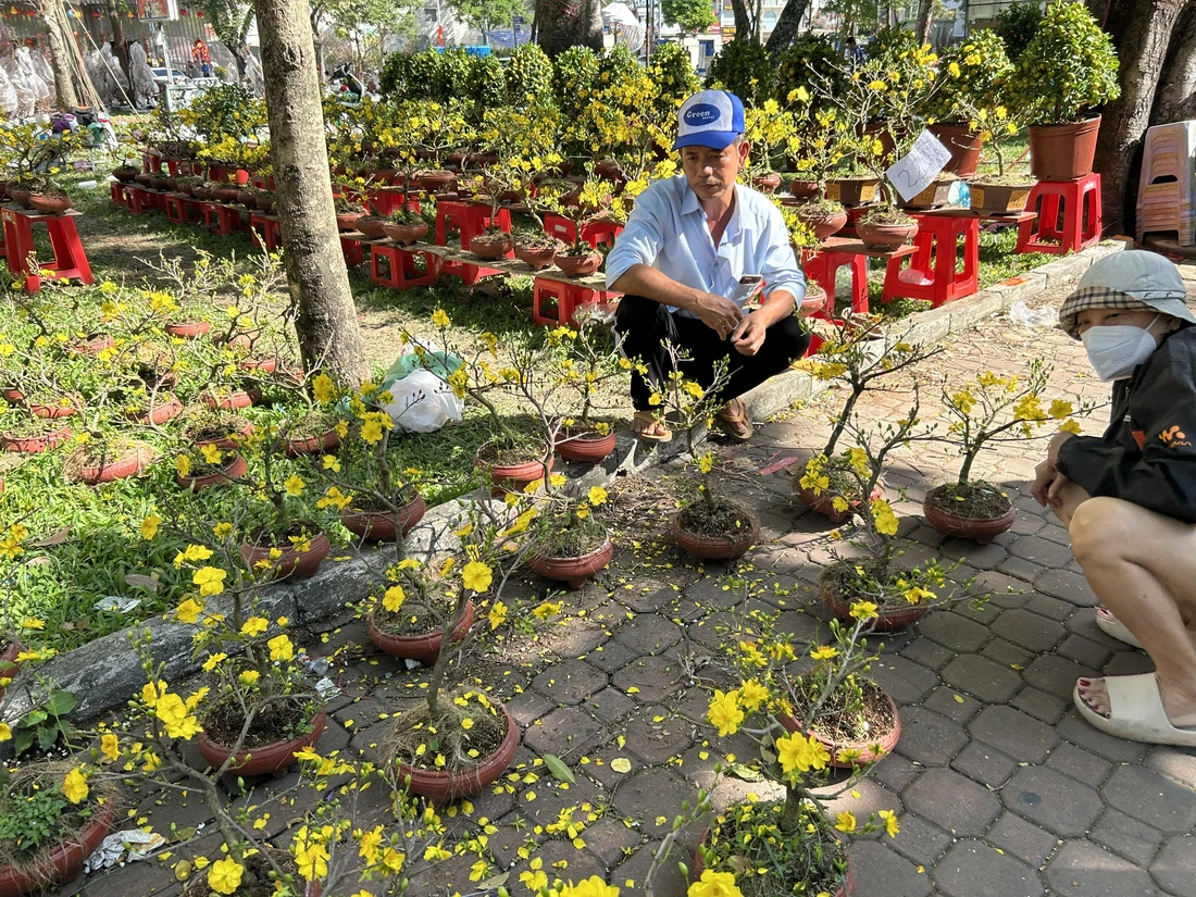 29 Tết rực nắng, hoa Tết TP.HCM đồng loạt hạ giá - Ảnh 11.