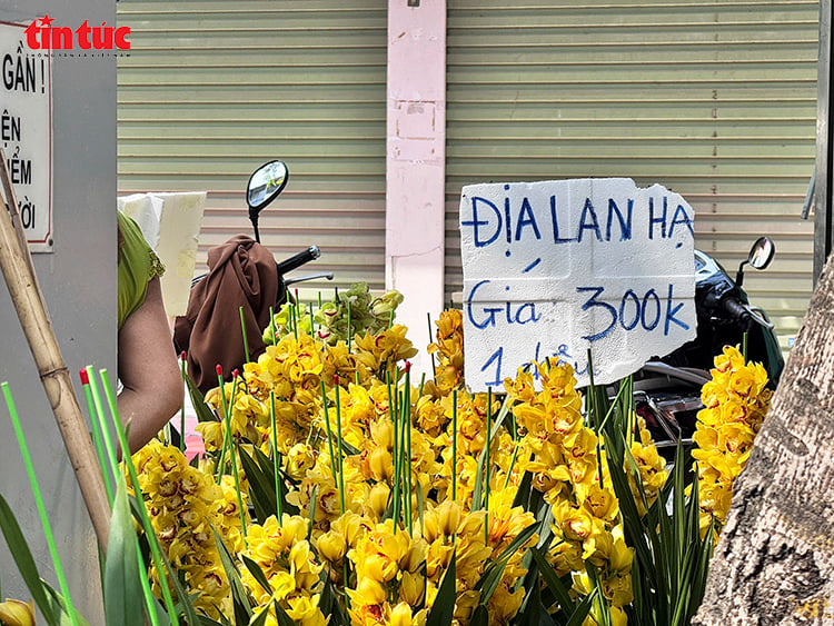 写真のキャプション